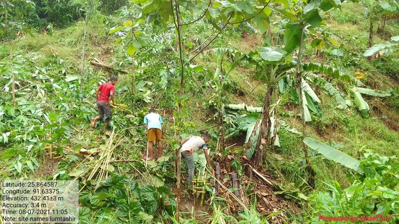 G:\Medical Leave Gordon\VILLAGE REPORT PICTURES\JIRANG BLOCK\Sohkyrbam rim\10.Horticulture\WhatsApp Image 2023-03-07 at 08.44.46.jpeg